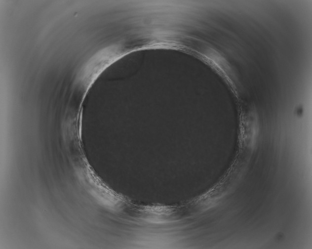 X0000115721276200912031542