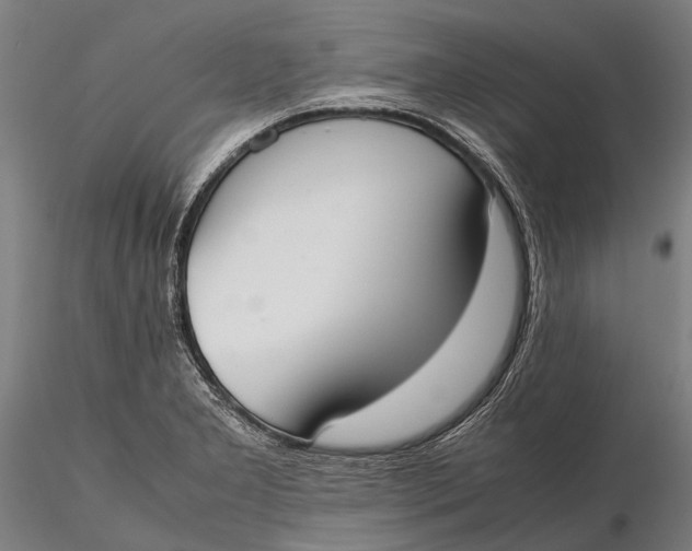 X0000115721277200912031542