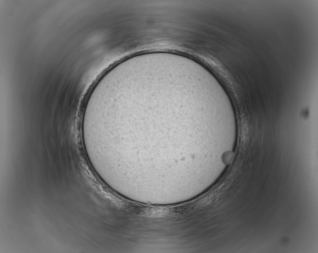 X0000115721278200912031542