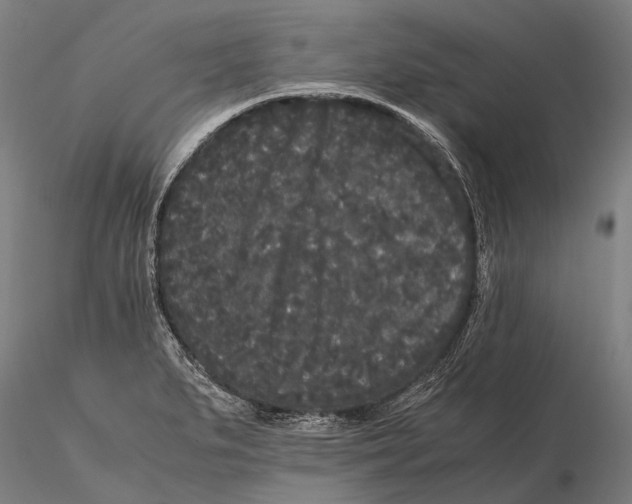 X0000115721279200912031542