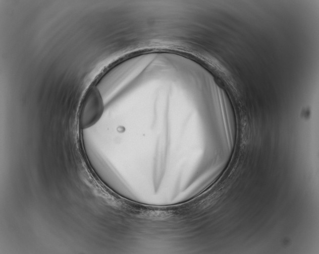 X0000115721280200912031542