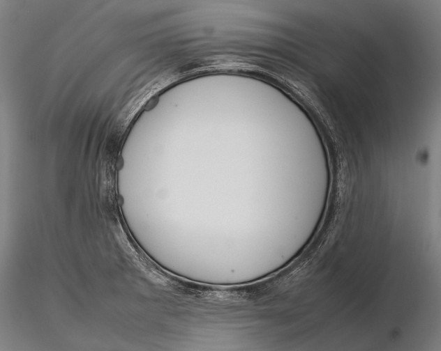 X0000115721281200912031542