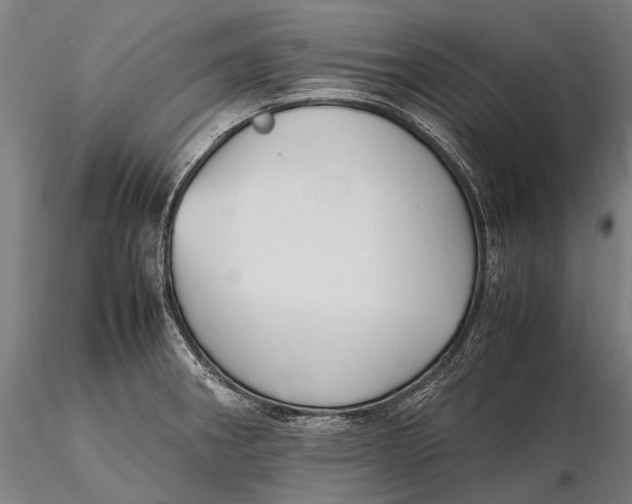 X0000115721282200912031542