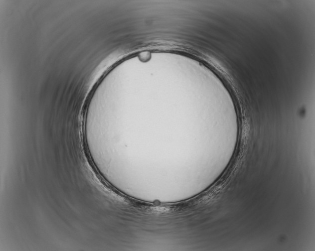 X0000115721283200912031542