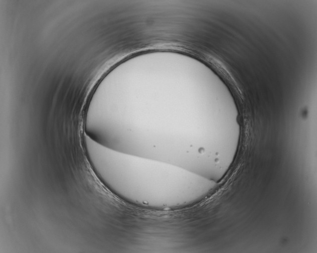 X0000115721284200912031542