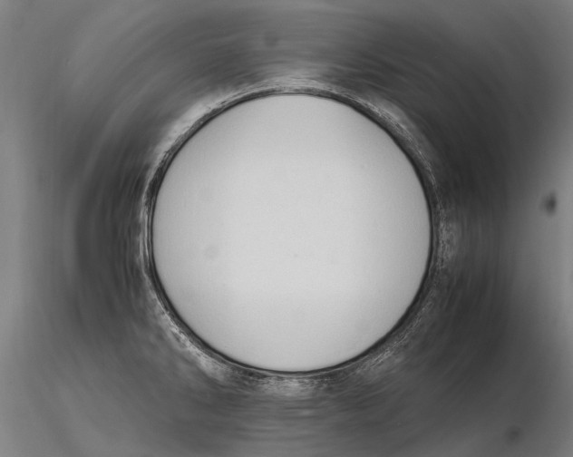 X0000115721286200912031542