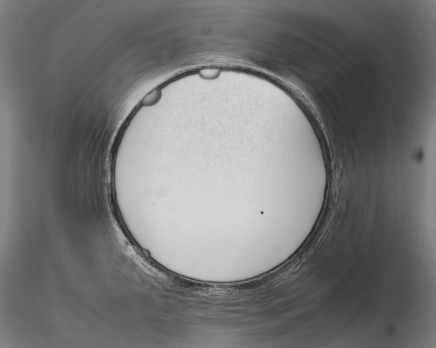 X0000115721287200912031542