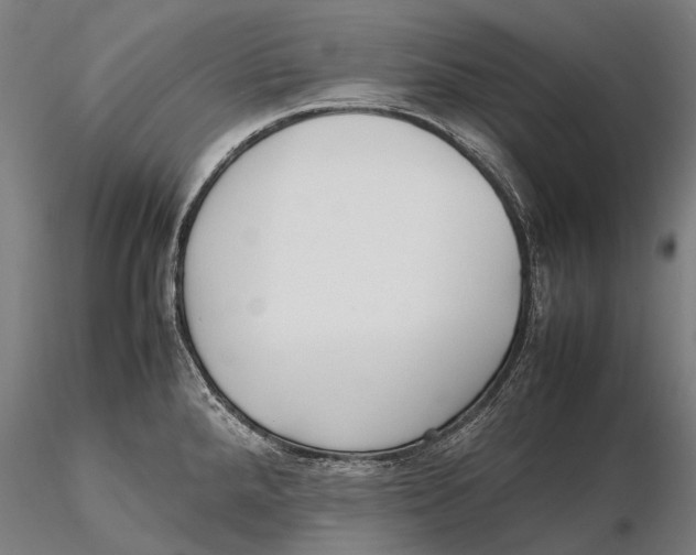 X0000115721288200912031542