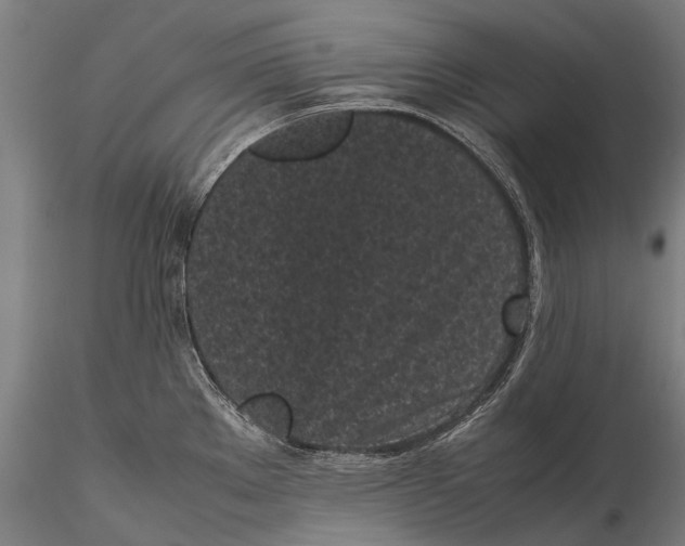 X0000115721289200912031542