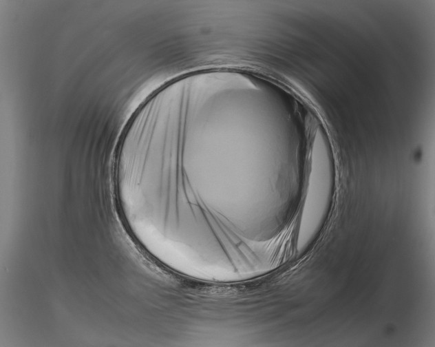 X0000115721291200912031542