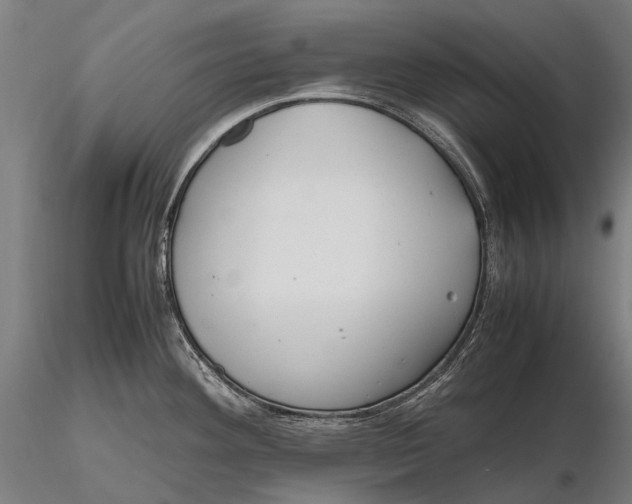 X0000115721292200912031542