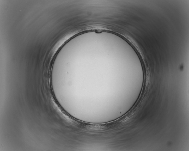 X0000115721293200912031542