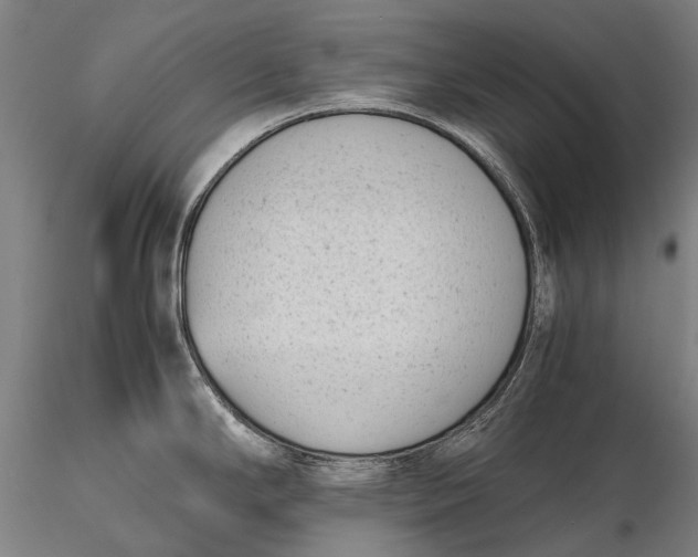 X0000115721294200912031542