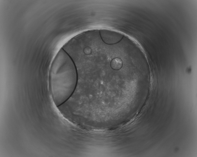 X0000115721295200912031542
