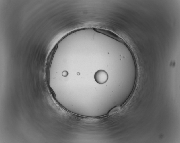 X0000115721296200912031542