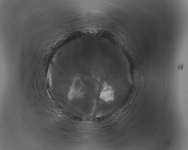 X0000115721297200912031541