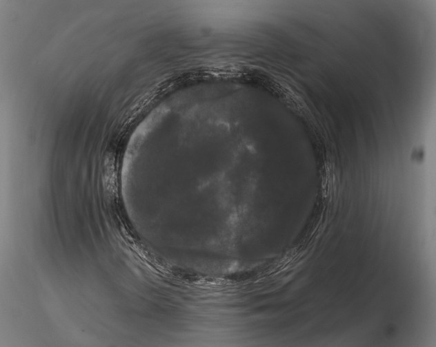 X0000115721298200912031541