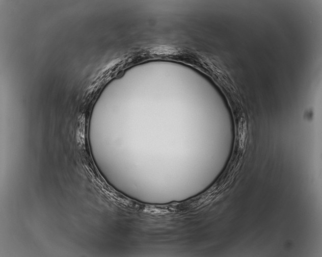 X0000115721301200912031541