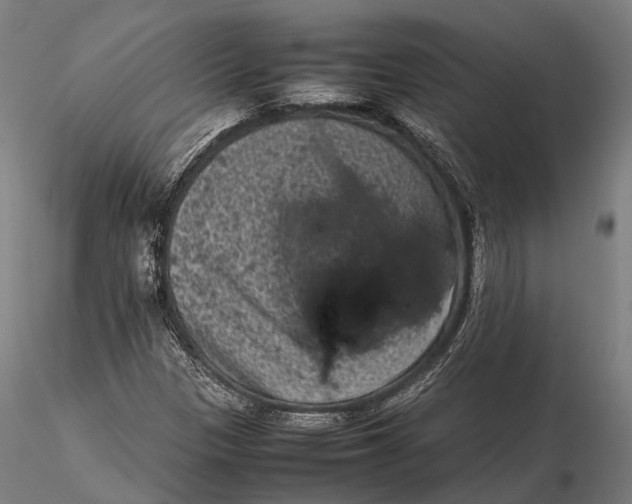 X0000115721305200912031541