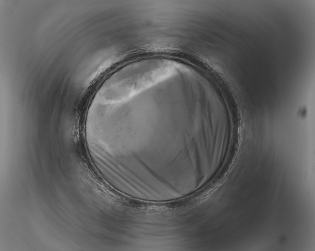 X0000115721306200912031541