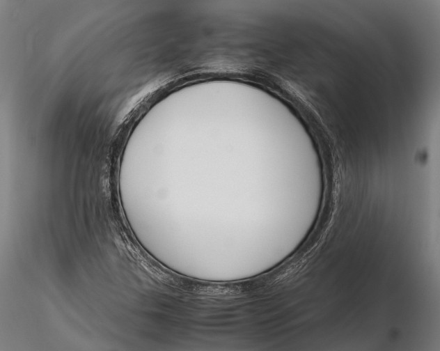 X0000115721307200912031541
