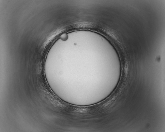 X0000115721309200912031541