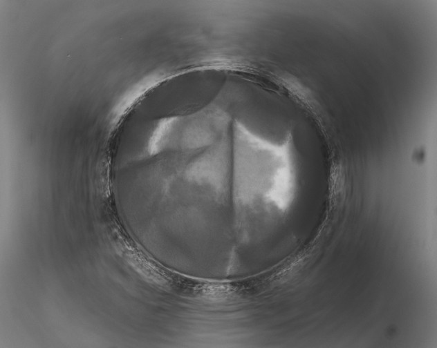 X0000115721310200912031541