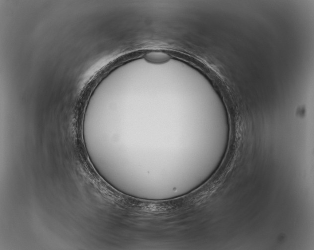 X0000115721311200912031541
