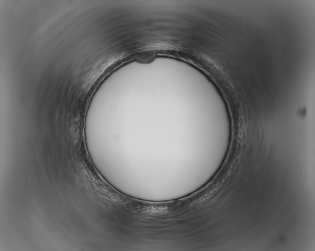 X0000115721313200912031541