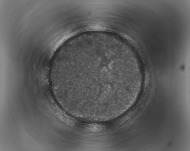 X0000115721314200912031541