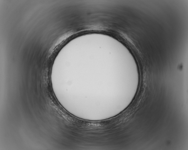 X0000115721315200912031541