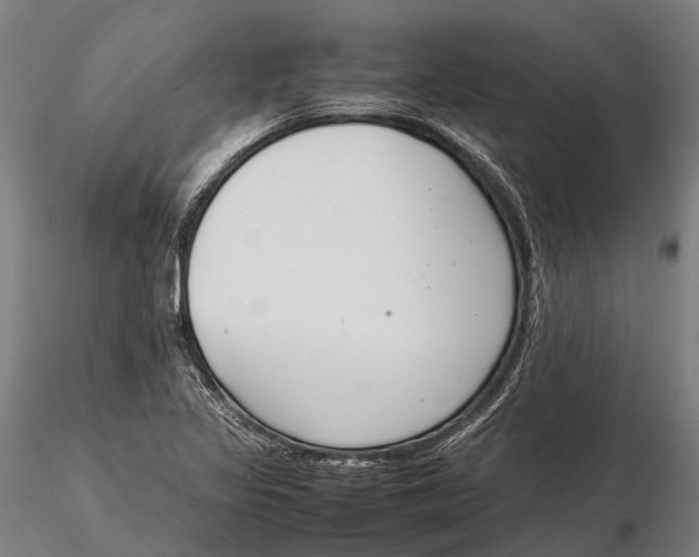 X0000115721317200912031542