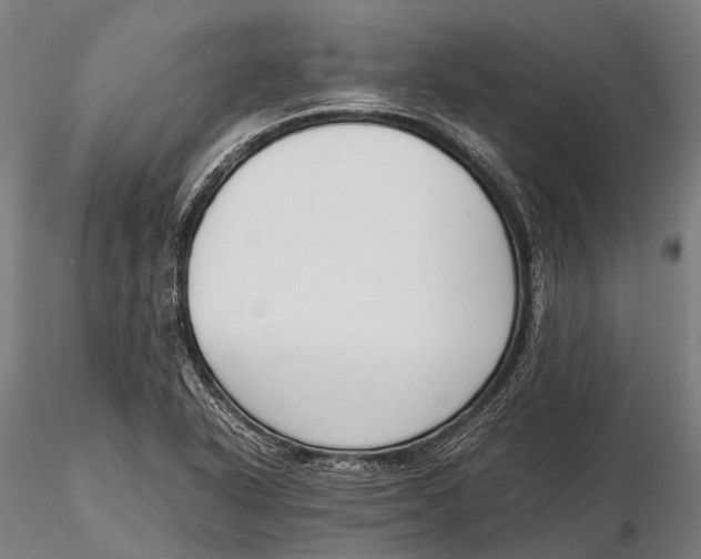 X0000115721318200912031542