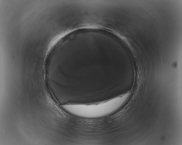 X0000115721319200912031542