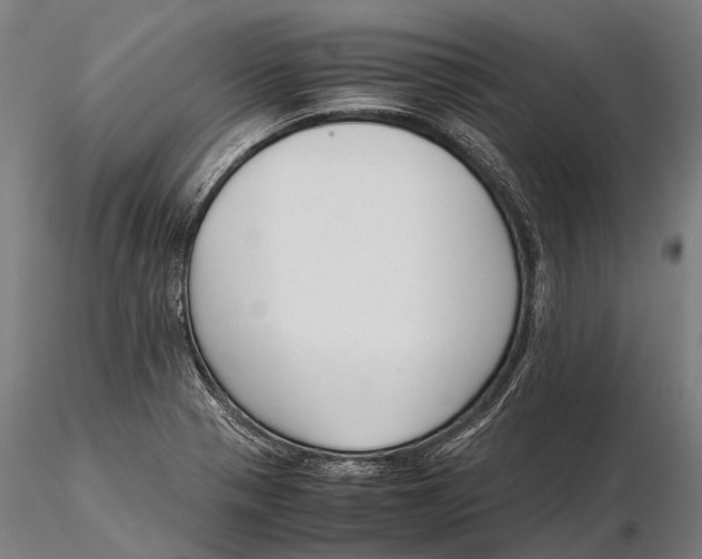 X0000115721321200912031542