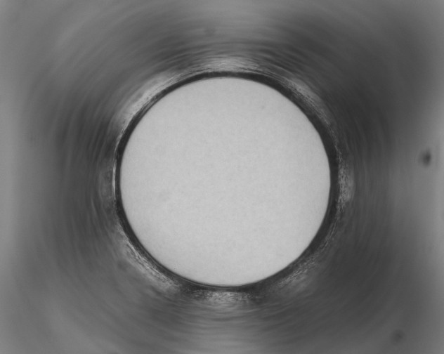X0000115721322200912031542