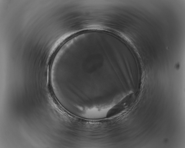 X0000115721323200912031542