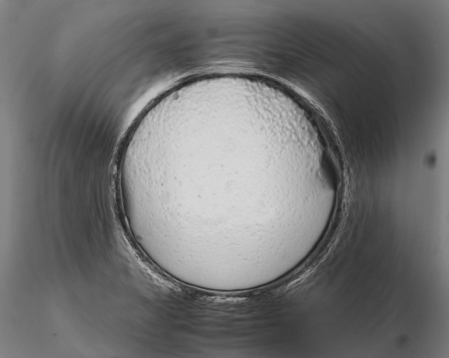 X0000115721325200912031542