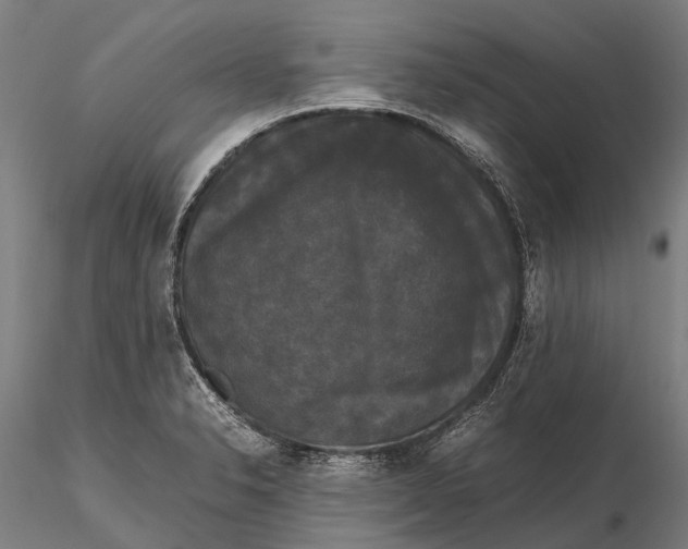 X0000115721326200912031542