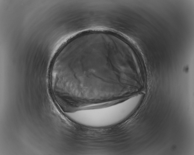 X0000115721327200912031542