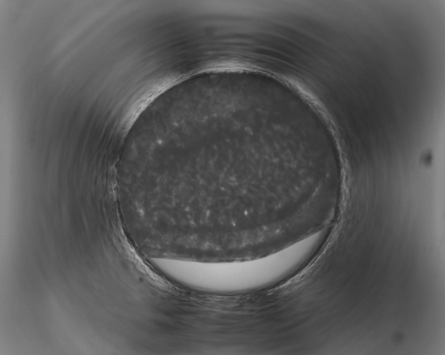 X0000115721329200912031542