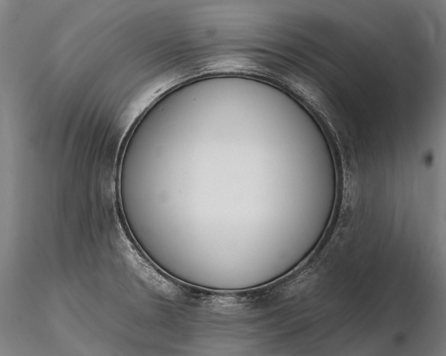 X0000115721330200912031542