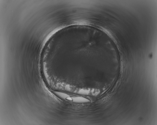 X0000115721331200912031542