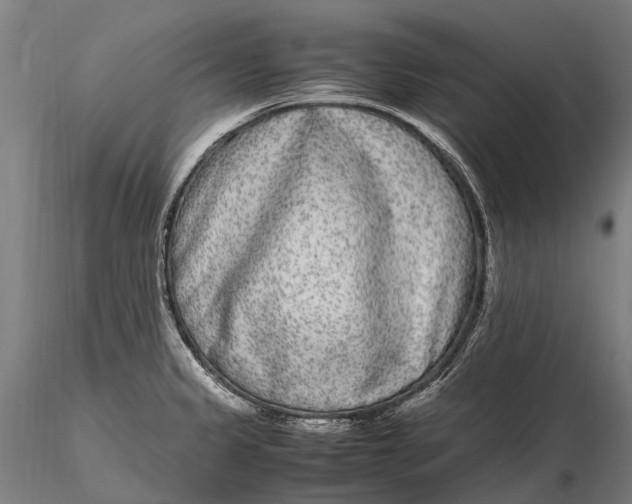 X0000115721333200912031542