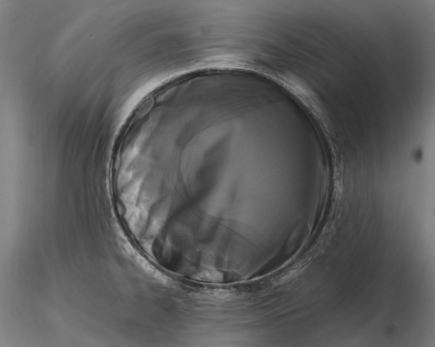 X0000115721334200912031542