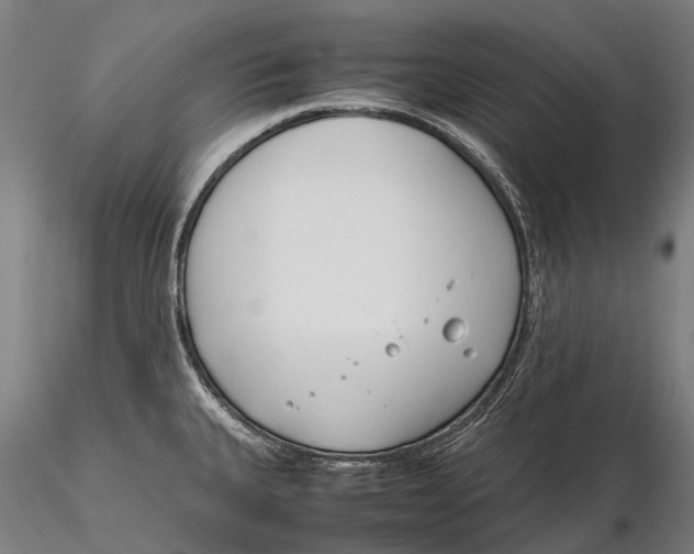 X0000115721335200912031542