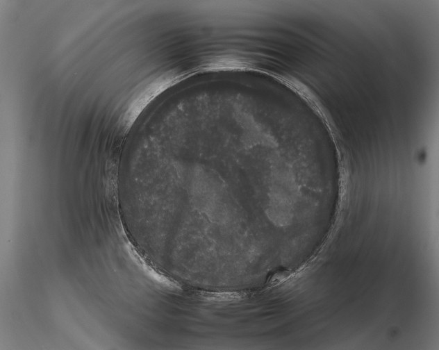 X0000115721337200912031542