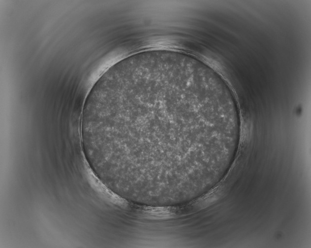 X0000115721338200912031542