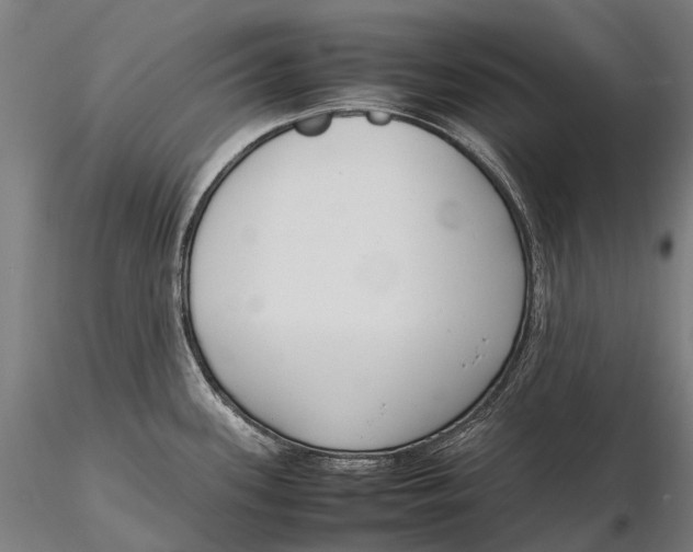 X0000115721339200912031542