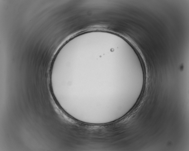 X0000115721341200912031542